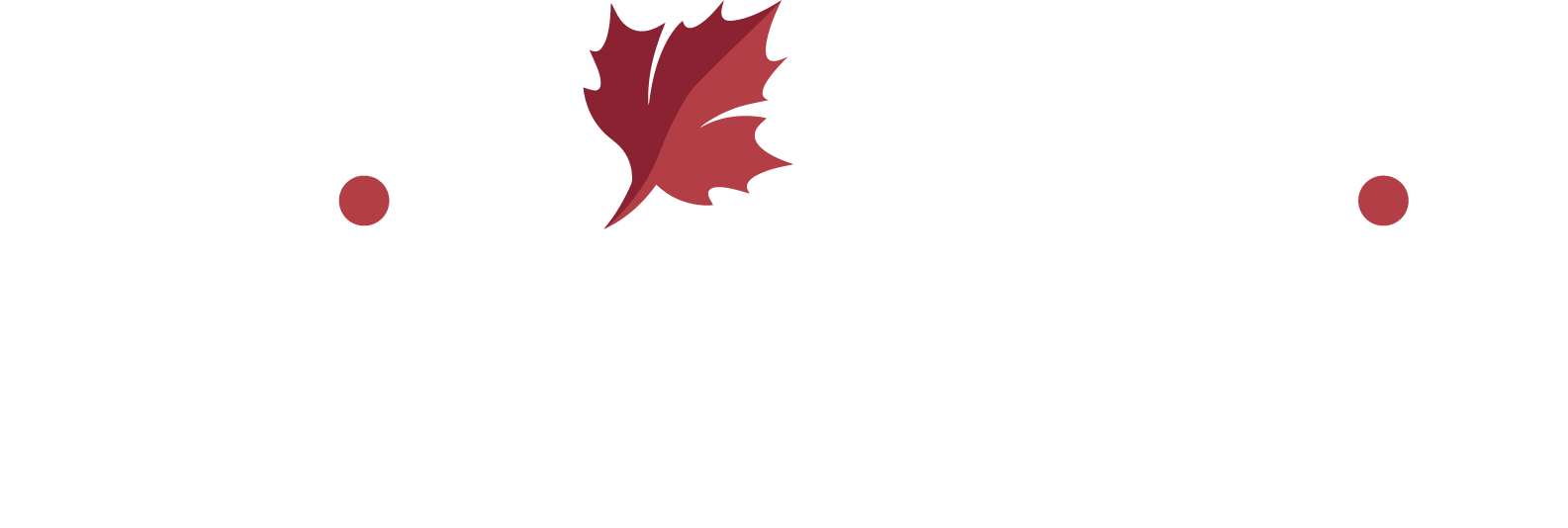 PaintTastic Pro